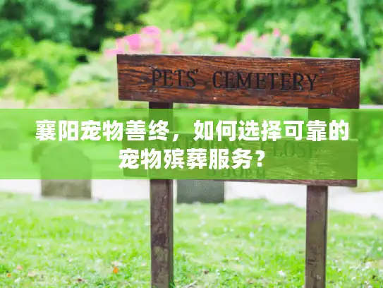 襄阳宠物善终，如何选择可靠的宠物殡葬服务？