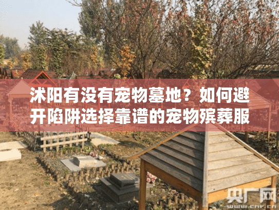 沭阳有没有宠物墓地？如何避开陷阱选择靠谱的宠物殡葬服务