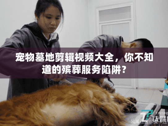 宠物墓地剪辑视频大全，你不知道的殡葬服务陷阱？