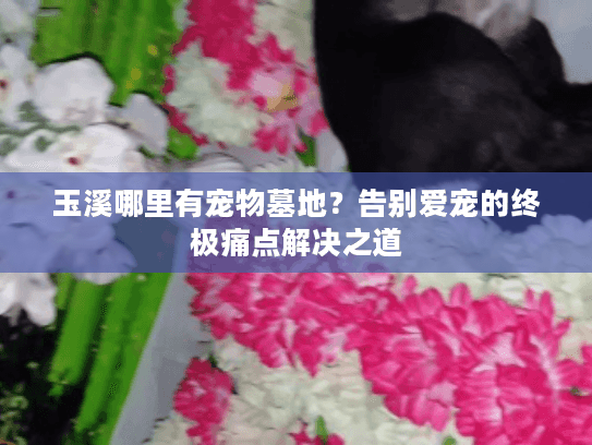 玉溪哪里有宠物墓地？告别爱宠的终极痛点解决之道
