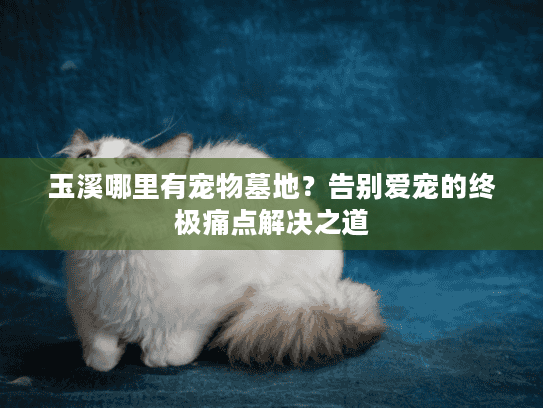 玉溪哪里有宠物墓地？告别爱宠的终极痛点解决之道