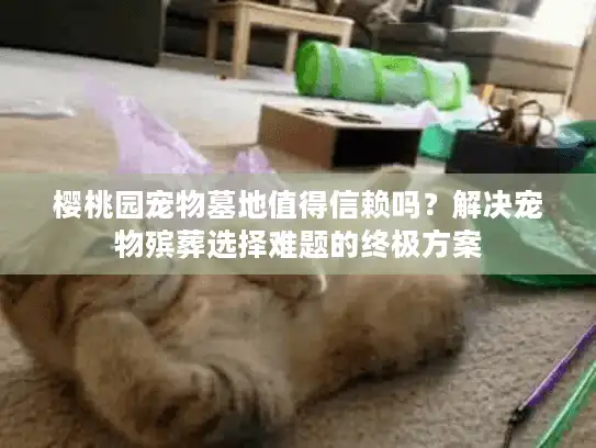 樱桃园宠物墓地值得信赖吗?解决宠物殡葬选择难题的终极方案 樱桃园宠物墓地值得信赖吗?解决宠物殡葬选择难题的终极方案