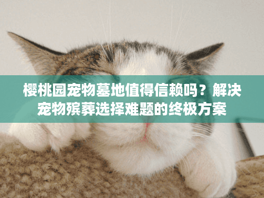 樱桃园宠物墓地值得信赖吗?解决宠物殡葬选择难题的终极方案 樱桃园宠物墓地值得信赖吗?解决宠物殡葬选择难题的终极方案