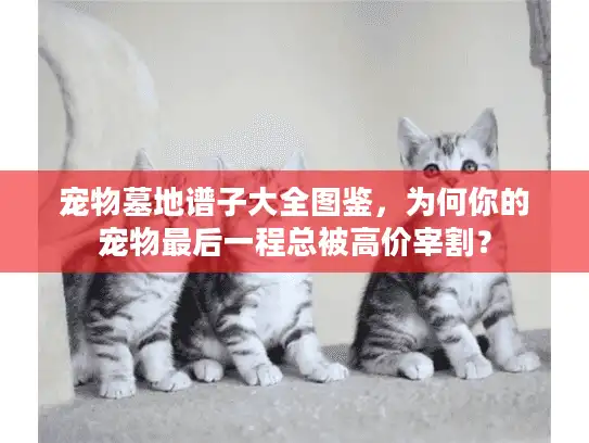 宠物墓地谱子大全图鉴，为何你的宠物最后一程总被高价宰割？