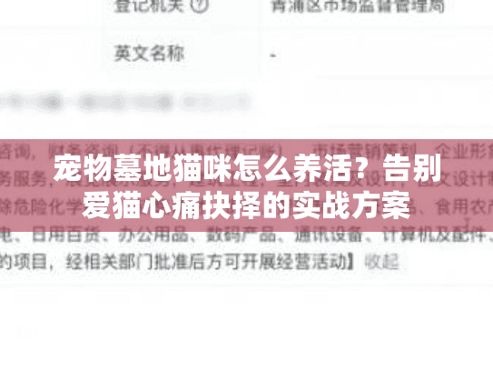 宠物墓地猫咪怎么养活?告别爱猫心痛抉择的实战方案 宠物墓地猫咪怎么养活?告别爱猫心痛抉择的实战方案