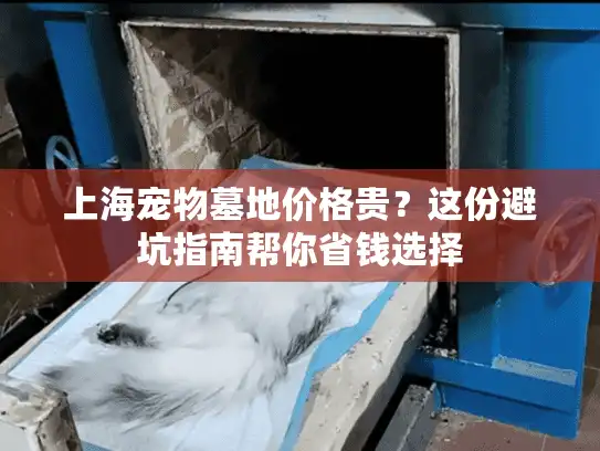 上海宠物墓地价格贵？这份避坑指南帮你省钱选择