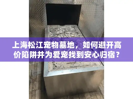 上海松江宠物墓地,如何避开高价陷阱并为爱宠找到安心归宿? 上海松江宠物墓地,如何避开高价陷阱并为爱宠找到安心归宿?