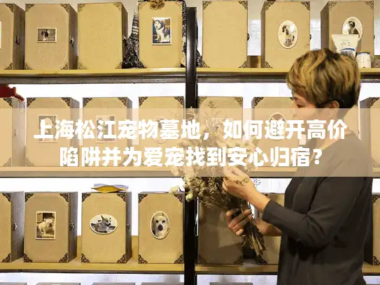 上海松江宠物墓地,如何避开高价陷阱并为爱宠找到安心归宿? 上海松江宠物墓地,如何避开高价陷阱并为爱宠找到安心归宿?