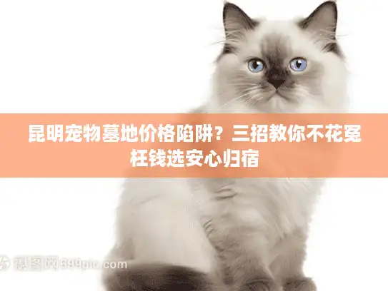 昆明宠物墓地价格陷阱？三招教你不花冤枉钱选安心归宿