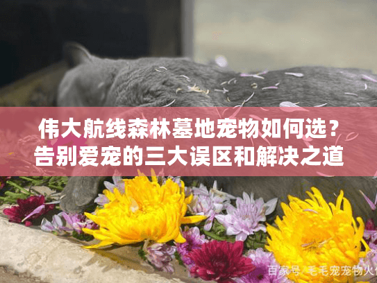 伟大航线森林墓地宠物如何选？告别爱宠的三大误区和解决之道