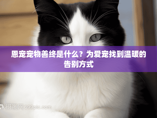 恩宠宠物善终是什么？为爱宠找到温暖的告别方式