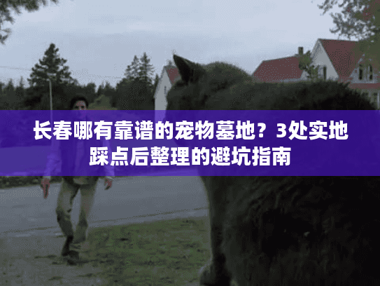 长春哪有靠谱的宠物墓地？3处实地踩点后整理的避坑指南