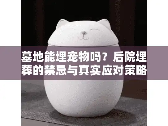 墓地能埋宠物吗？后院埋葬的禁忌与真实应对策略