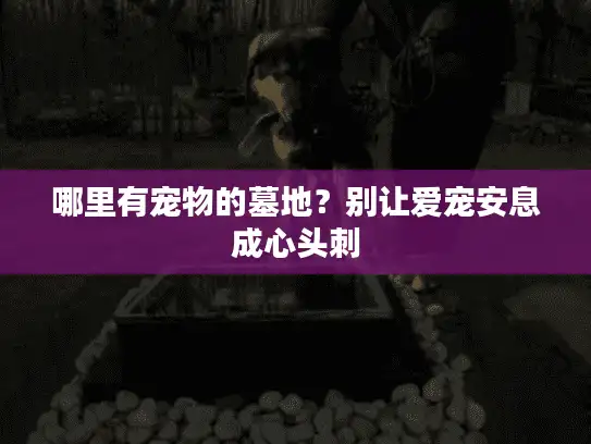 哪里有宠物的墓地？别让爱宠安息成心头刺