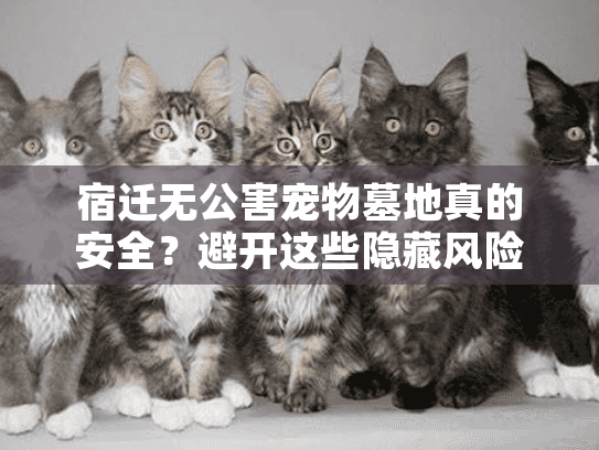 宿迁无公害宠物墓地真的安全？避开这些隐藏风险选安心