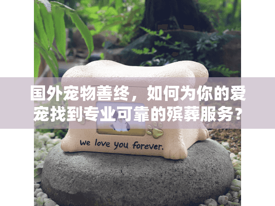 国外宠物善终，如何为你的爱宠找到专业可靠的殡葬服务？