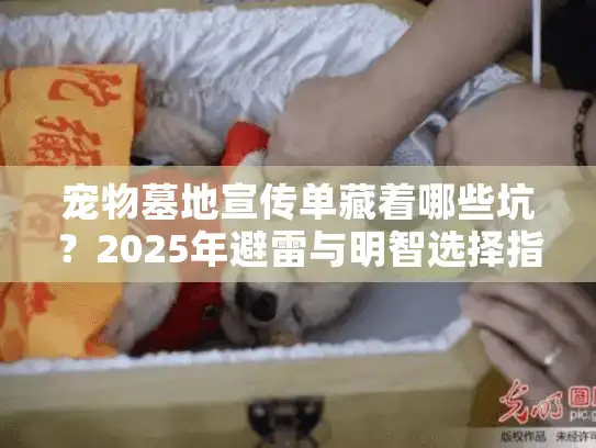 宠物墓地宣传单藏着哪些坑？2025年避雷与明智选择指南