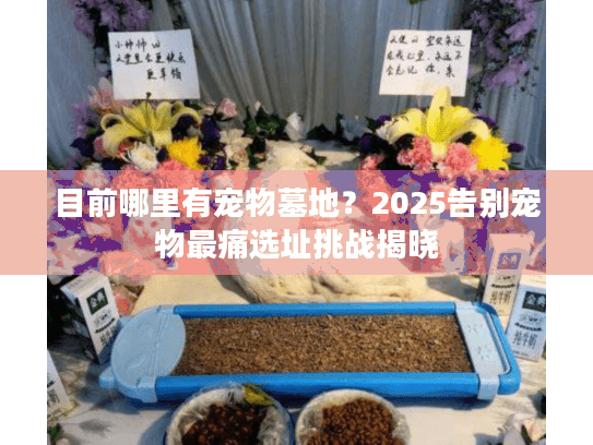 目前哪里有宠物墓地?2025告别宠物最痛选址挑战揭晓 目前哪里有宠物墓地?2025告别宠物最痛选址挑战揭晓
