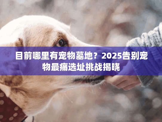目前哪里有宠物墓地?2025告别宠物最痛选址挑战揭晓 目前哪里有宠物墓地?2025告别宠物最痛选址挑战揭晓