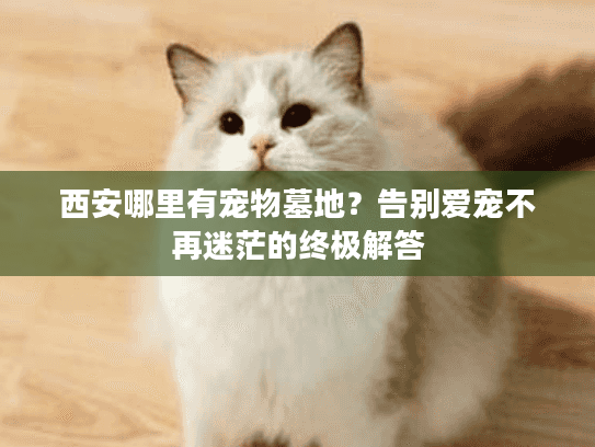 西安哪里有宠物墓地？告别爱宠不再迷茫的终极解答