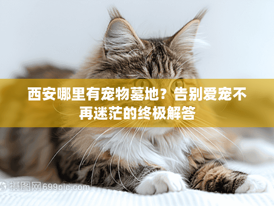 西安哪里有宠物墓地？告别爱宠不再迷茫的终极解答