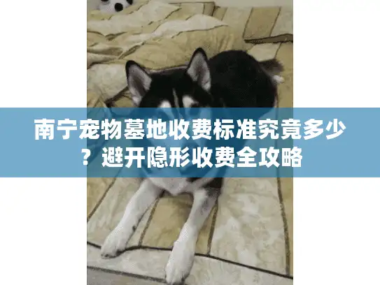 南宁宠物墓地收费标准究竟多少？避开隐形收费全攻略