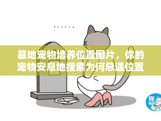 墓地宠物培养位置图片，你的宠物安息地搜索为何总遇位置盲区？