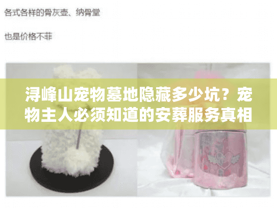 浔峰山宠物墓地隐藏多少坑？宠物主人必须知道的安葬服务真相