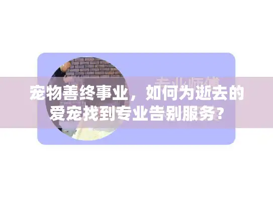 宠物善终事业，如何为逝去的爱宠找到专业告别服务？