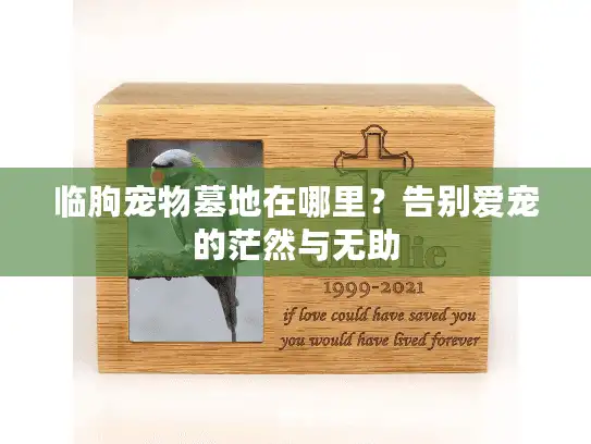 临朐宠物墓地在哪里？告别爱宠的茫然与无助