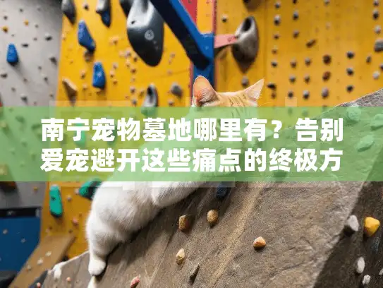 南宁宠物墓地哪里有？告别爱宠避开这些痛点的终极方案