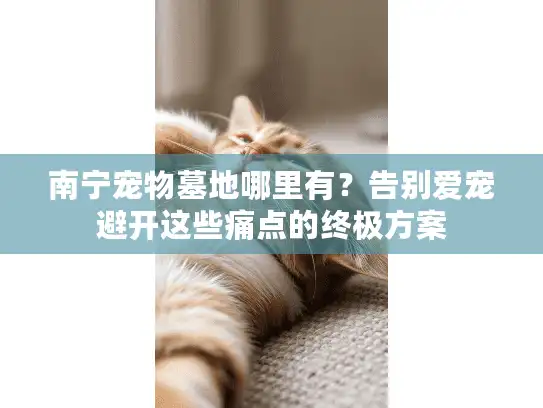 南宁宠物墓地哪里有？告别爱宠避开这些痛点的终极方案
