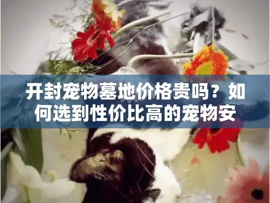 开封宠物墓地价格贵吗？如何选到性价比高的宠物安息之地