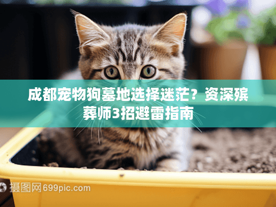 成都宠物狗墓地选择迷茫？资深殡葬师3招避雷指南