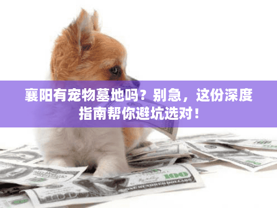 襄阳有宠物墓地吗？别急，这份深度指南帮你避坑选对！