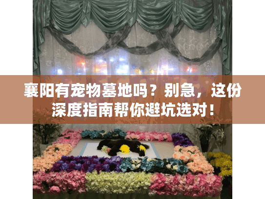 襄阳有宠物墓地吗？别急，这份深度指南帮你避坑选对！