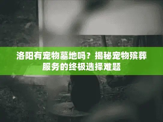洛阳有宠物墓地吗？揭秘宠物殡葬服务的终极选择难题