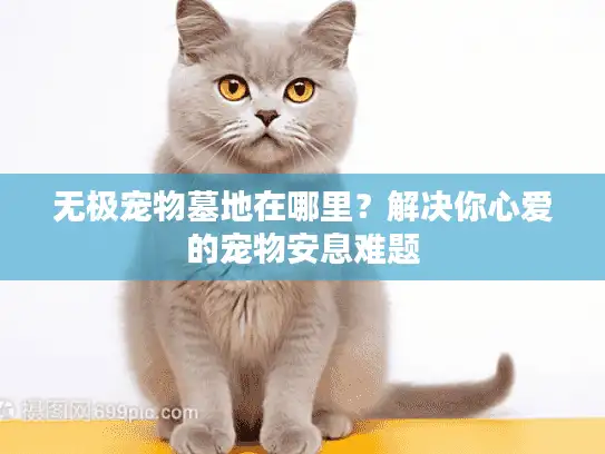无极宠物墓地在哪里?解决你心爱的宠物安息难题 无极宠物墓地在哪里?解决你心爱的宠物安息难题