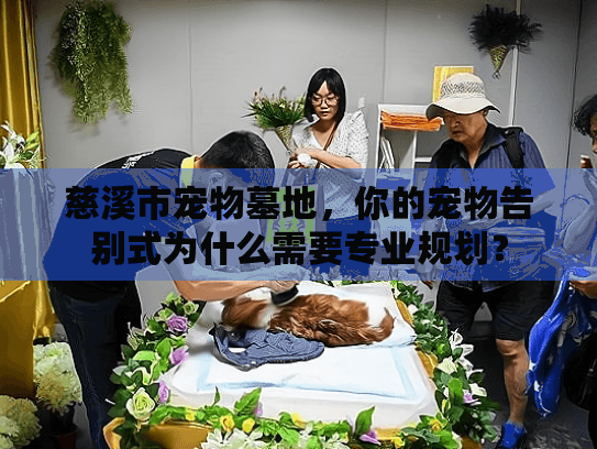 慈溪市宠物墓地，你的宠物告别式为什么需要专业规划？