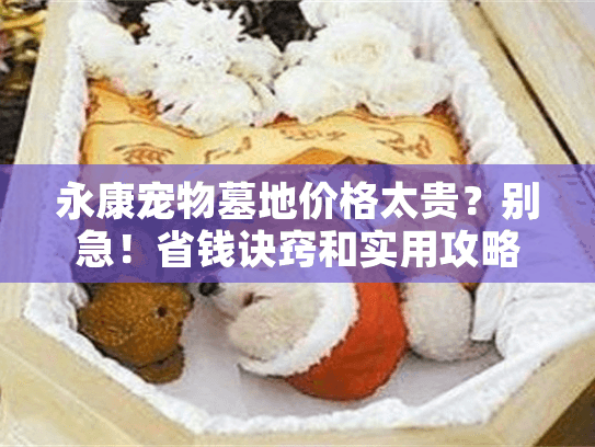 永康宠物墓地价格太贵？别急！省钱诀窍和实用攻略大公开