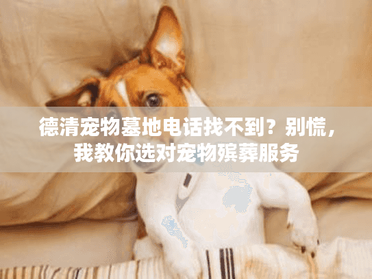 德清宠物墓地电话找不到？别慌，我教你选对宠物殡葬服务