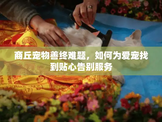 商丘宠物善终难题,如何为爱宠找到贴心告别服务 商丘宠物善终难题,如何为爱宠找到贴心告别服务