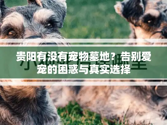 贵阳有没有宠物墓地？告别爱宠的困惑与真实选择