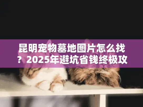 昆明宠物墓地图片怎么找？2025年避坑省钱终极攻略