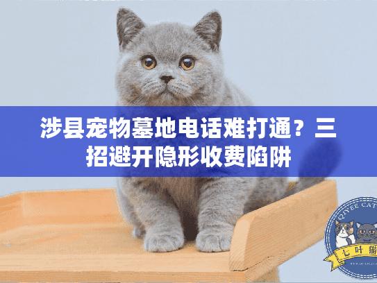 涉县宠物墓地电话难打通？三招避开隐形收费陷阱