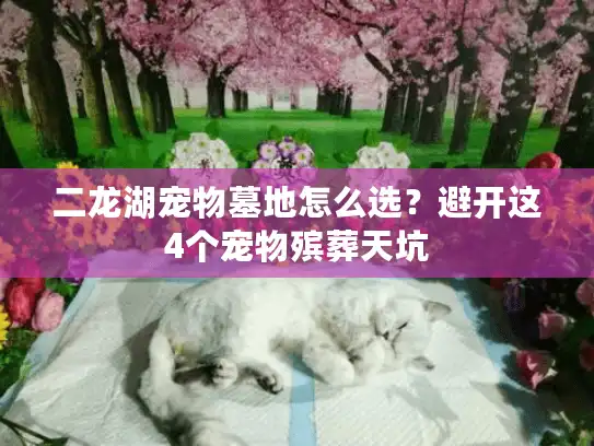 二龙湖宠物墓地怎么选？避开这4个宠物殡葬天坑
