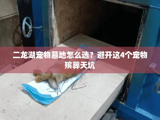 二龙湖宠物墓地怎么选？避开这4个宠物殡葬天坑
