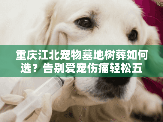 重庆江北宠物墓地树葬如何选？告别爱宠伤痛轻松五步决策法