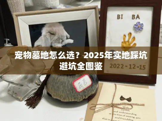 宠物墓地怎么选？2025年实地踩坑避坑全图鉴