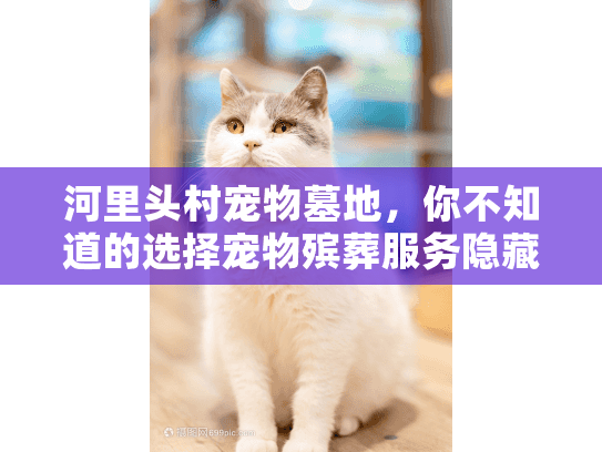 河里头村宠物墓地,你不知道的选择宠物殡葬服务隐藏风险? 河里头村宠物墓地,你不知道的选择宠物殡葬服务隐藏风险?